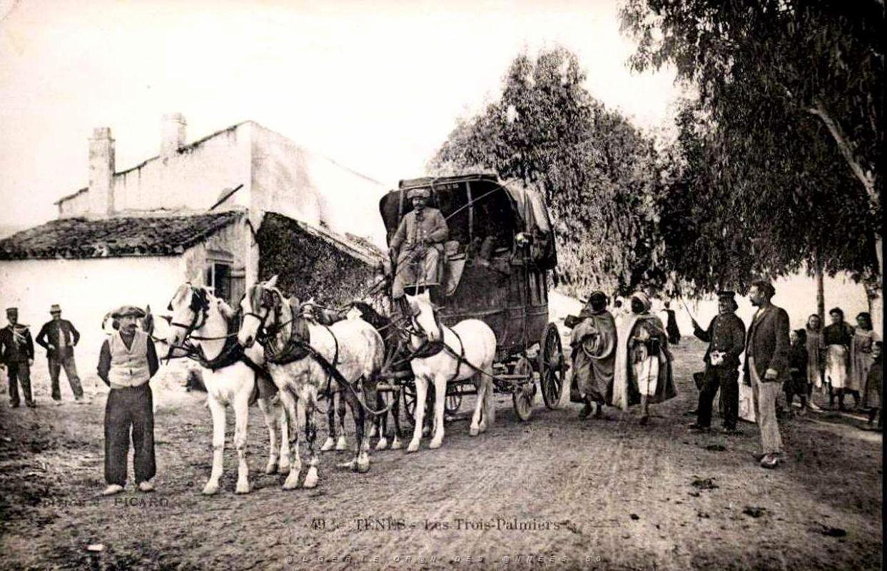 Tenes - Les 3 palmiers - La diligence.jpg